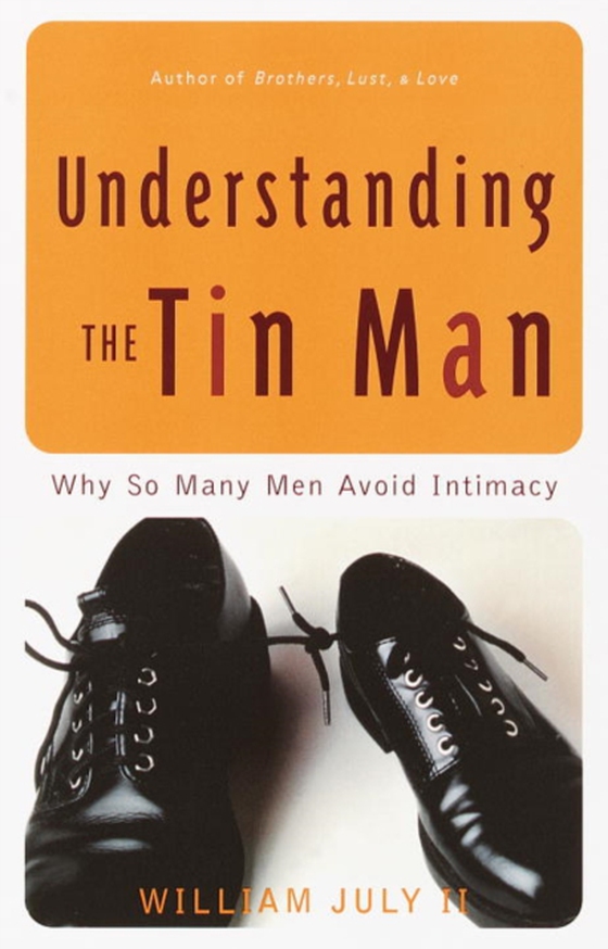 Understanding the Tin Man (e-bog) af II, William July