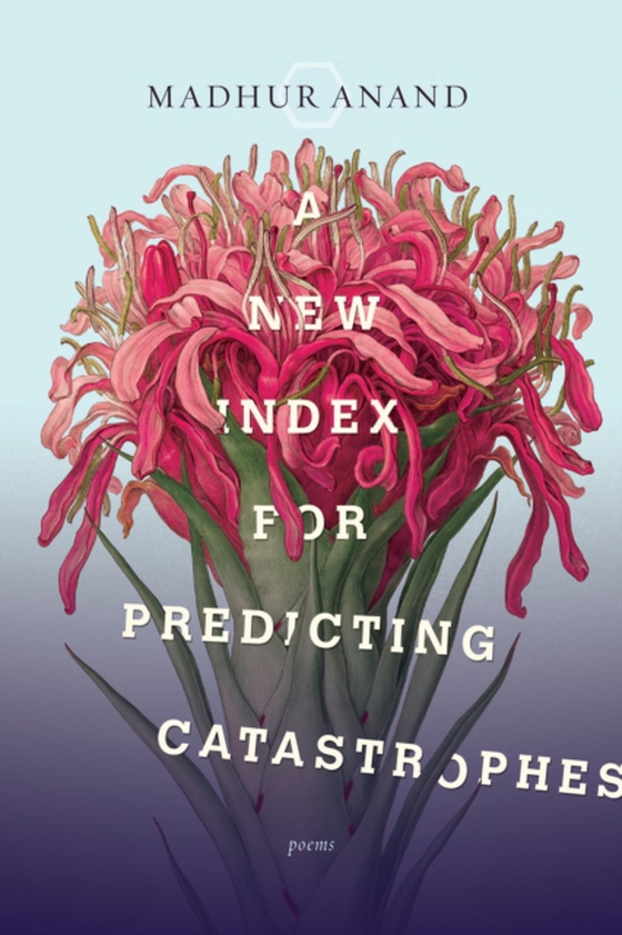 New Index for Predicting Catastrophes (e-bog) af Anand, Madhur