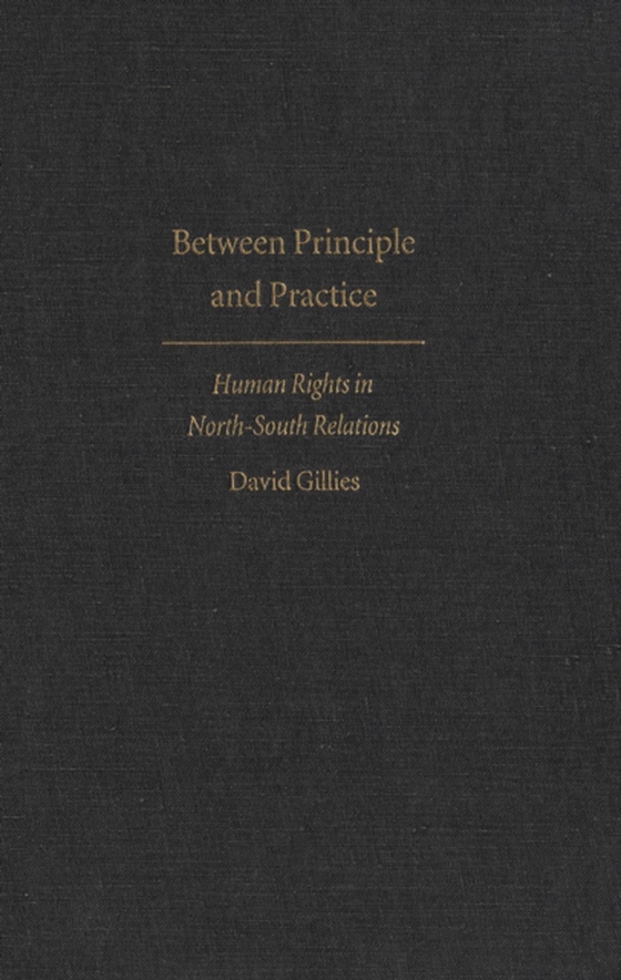 Between Principle and Practice (e-bog) af Gillies, David
