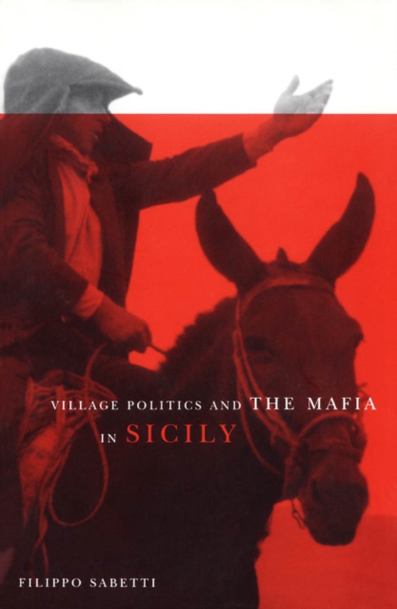 Village Politics and the Mafia in Sicily