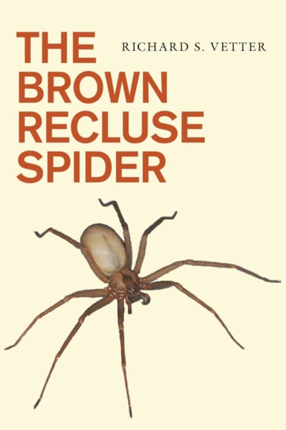 Brown Recluse Spider