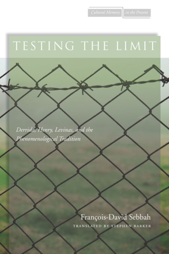 Testing the Limit (e-bog) af Sebbah, Francois-David