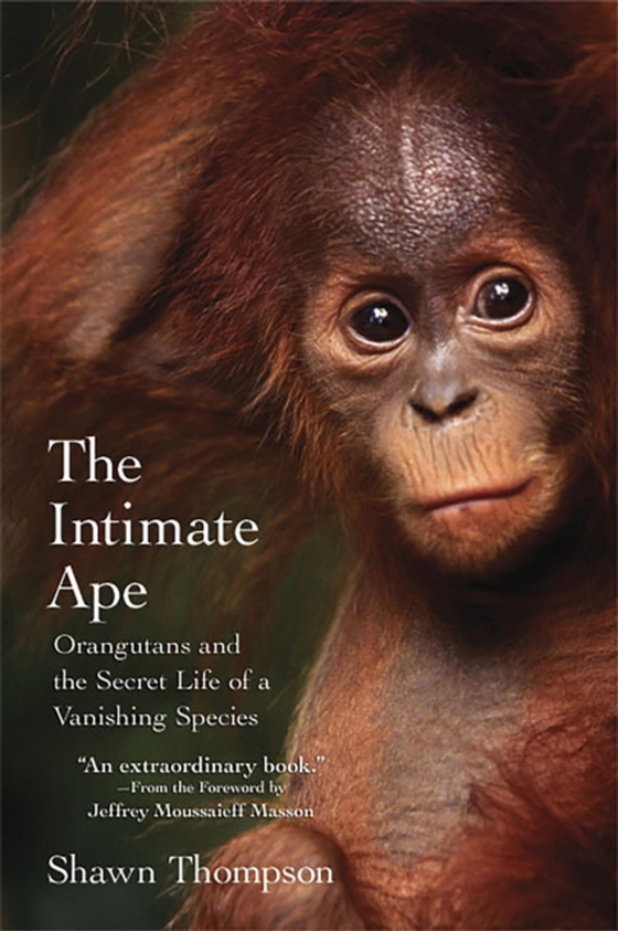 Intimate Ape: