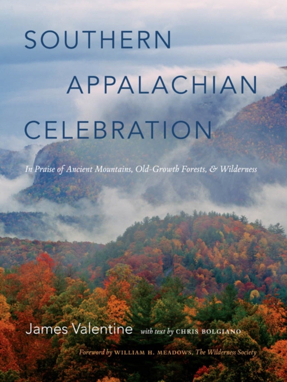 Southern Appalachian Celebration (e-bog) af Valentine, James