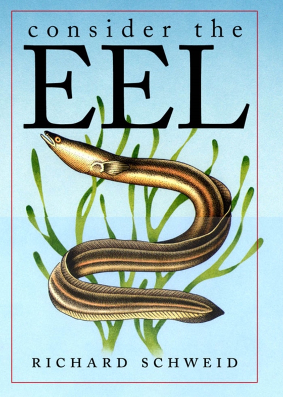 Consider the Eel (e-bog) af Schweid, Richard