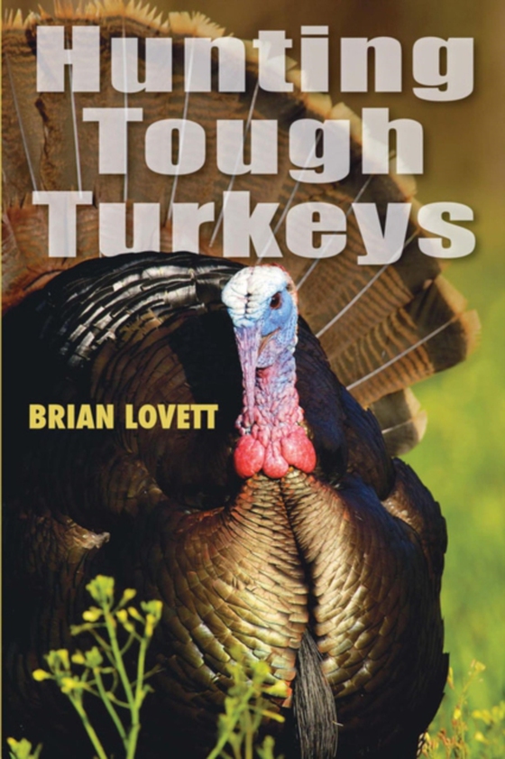 Hunting Tough Turkeys (e-bog) af Lovett, Brian