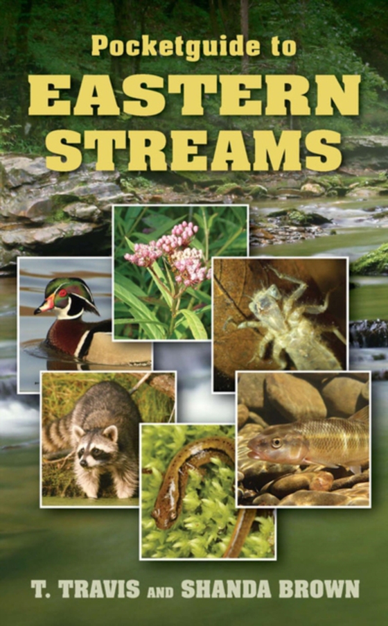 Pocketguide to Eastern Streams (e-bog) af Brown, Shanda