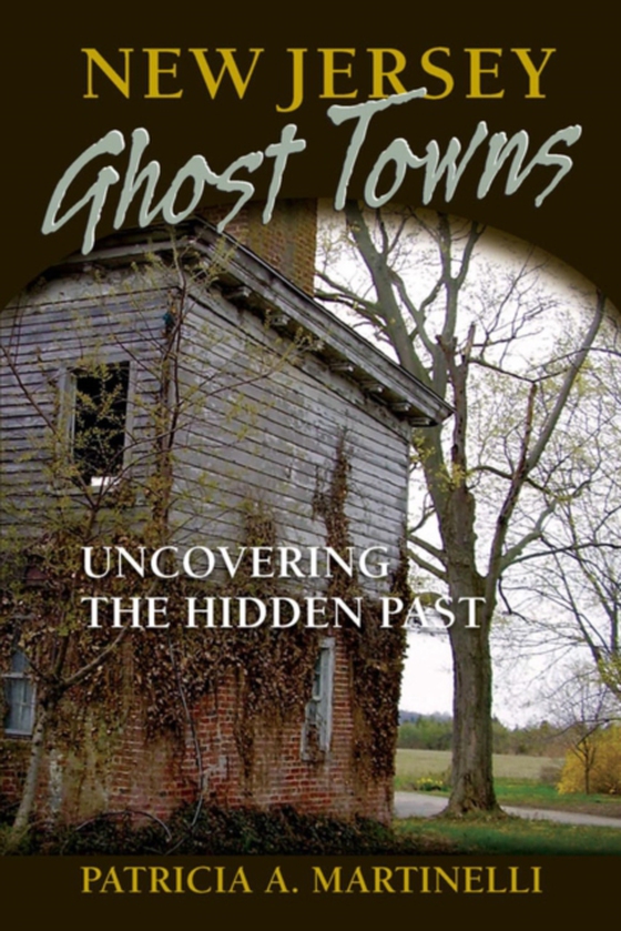 New Jersey Ghost Towns (e-bog) af Martinelli, Patricia A.