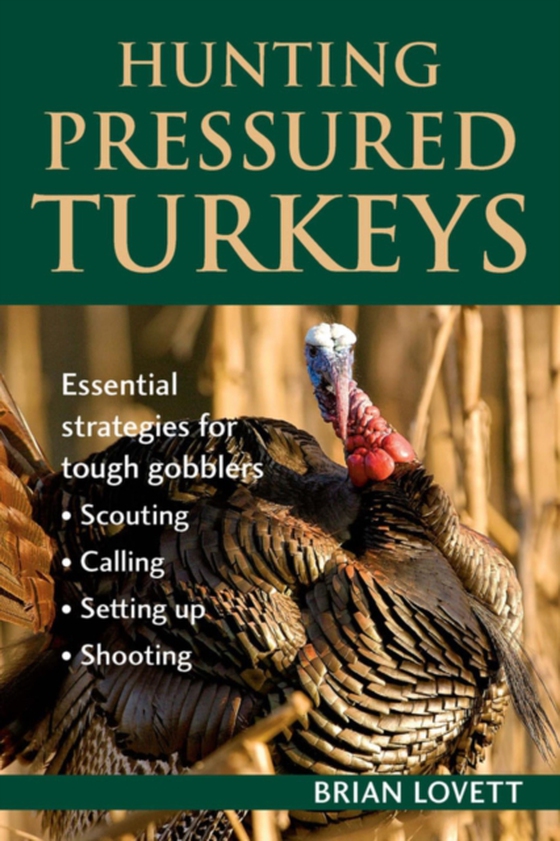 Hunting Pressured Turkeys (e-bog) af Lovett, Brian