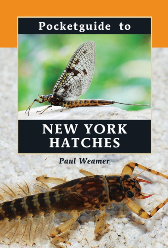 Pocketguide to New York Hatches