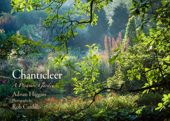 Chanticleer (e-bog) af Higgins, Adrian