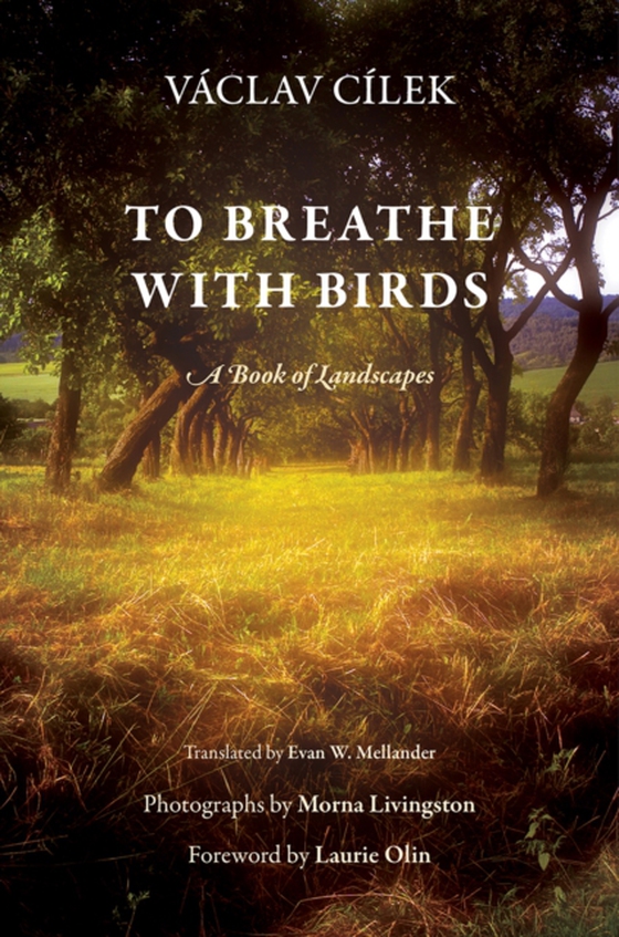 To Breathe with Birds (e-bog) af Cilek, Vaclav