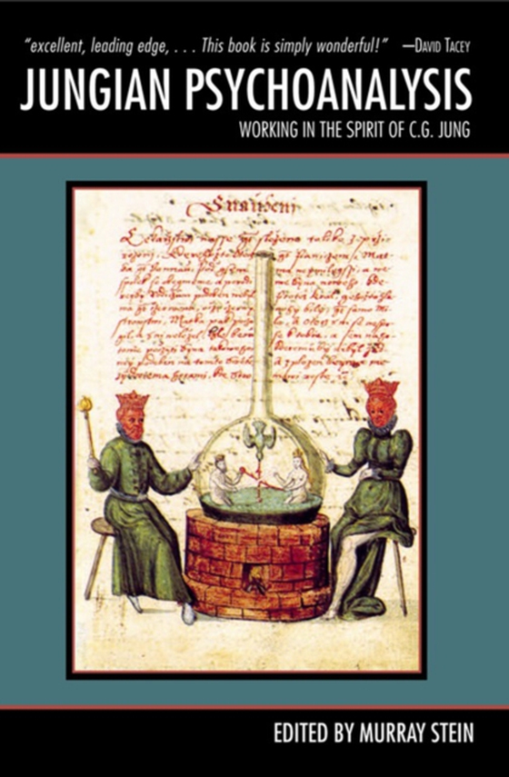 Jungian Psychoanalysis (e-bog) af -