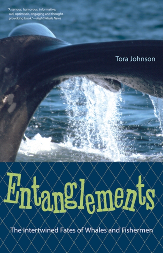 Entanglements (e-bog) af Johnson, Tora