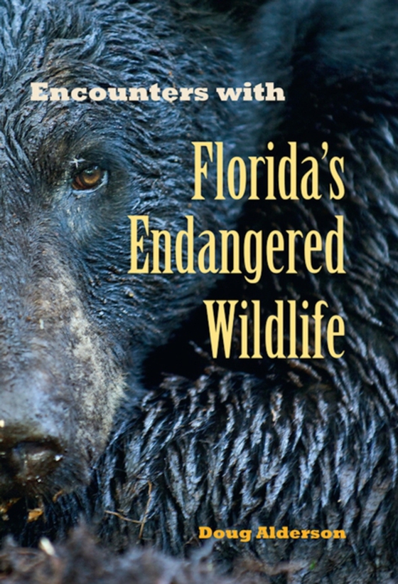 Encounters with Florida's Endangered Wildlife (e-bog) af Alderson, Doug