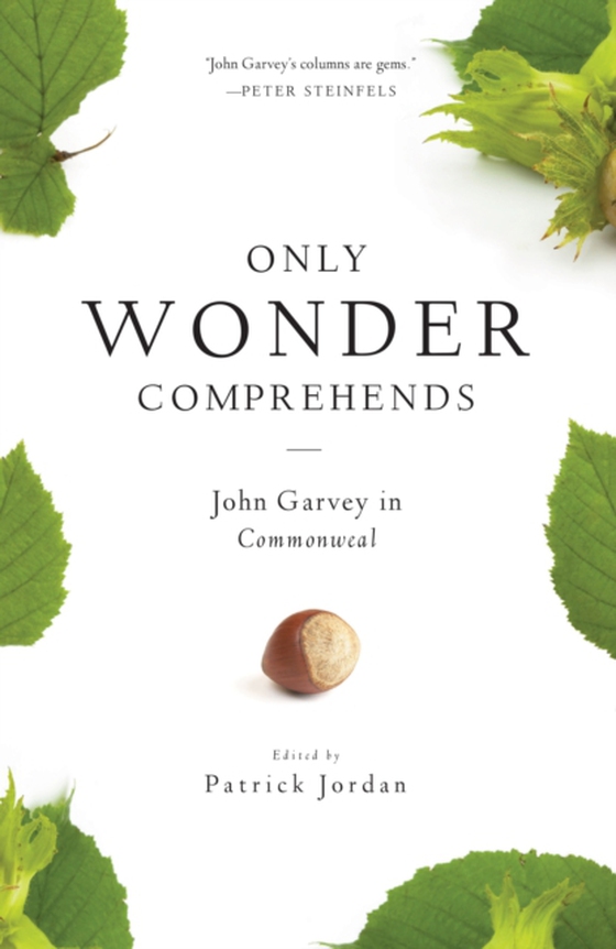 Only Wonder Comprehends (e-bog) af Garvey, John