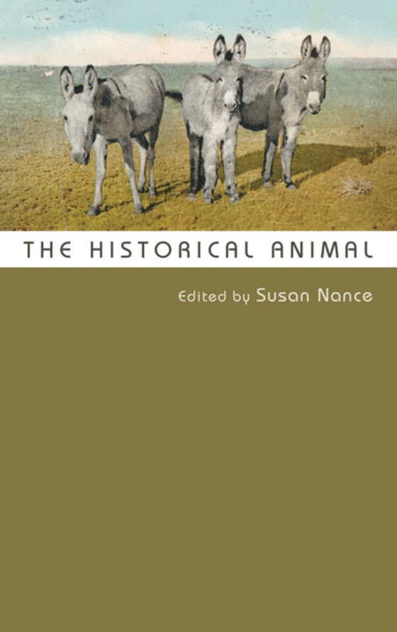 Historical Animal (e-bog) af -