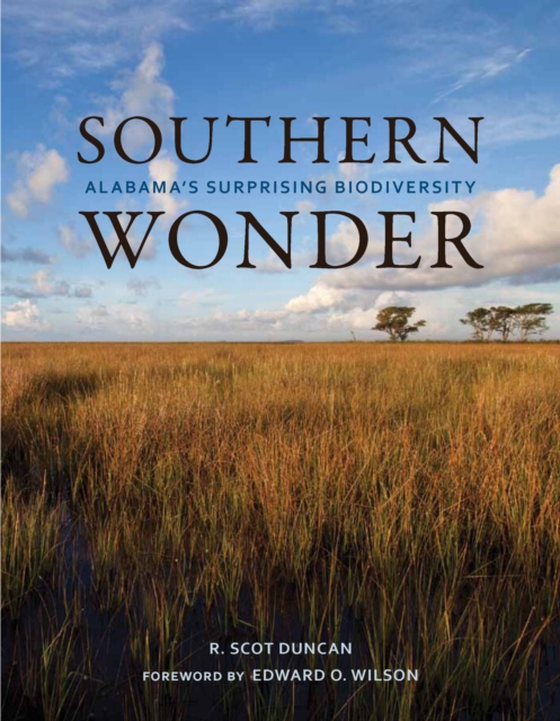 Southern Wonder (e-bog) af R. Scot Duncan, Duncan