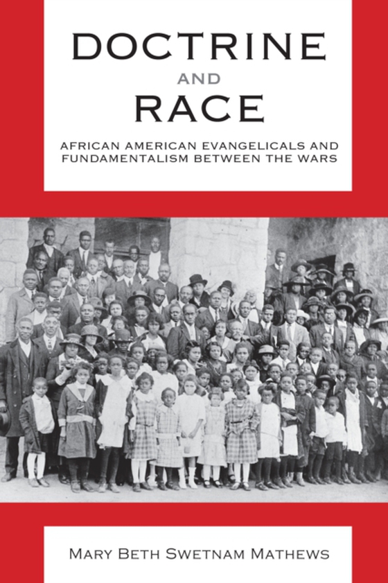 Doctrine and Race (e-bog) af Mary Beth Swetnam Mathews, Mathews