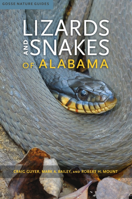 Lizards and Snakes of Alabama (e-bog) af Robert H. Mount, Mount