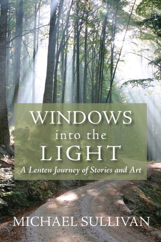 Windows into the Light (e-bog) af Sullivan, Michael