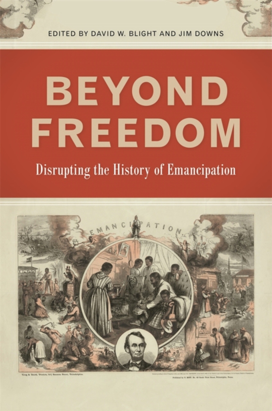 Beyond Freedom (e-bog) af -