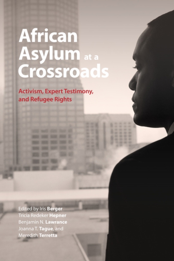 African Asylum at a Crossroads (e-bog) af -