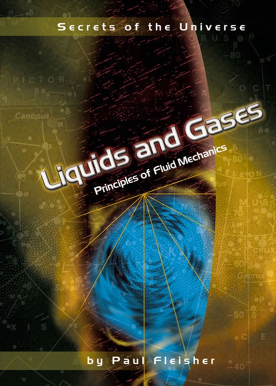 Liquids and Gases (e-bog) af Fleisher, Paul