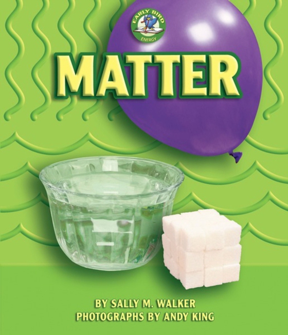 Matter (e-bog) af Walker, Sally M.