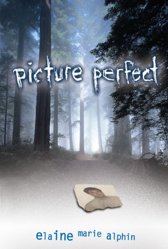 Picture Perfect (e-bog) af Alphin, Elaine Marie