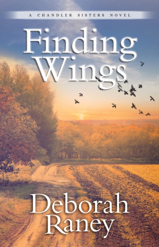 Finding Wings (e-bog) af Raney, Deborah