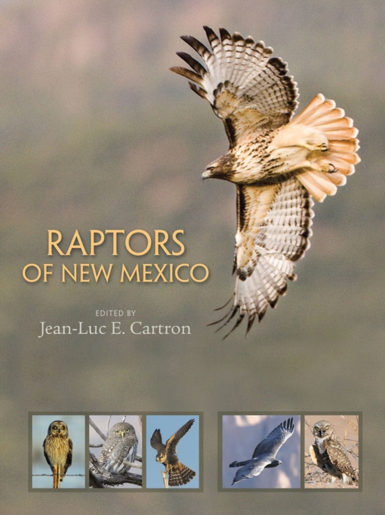 Raptors of New Mexico (e-bog) af -