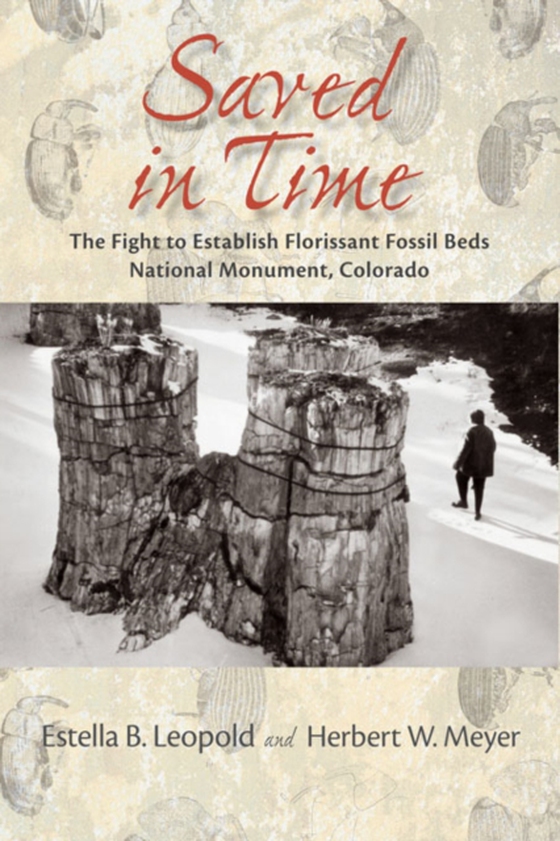 Saved in Time (e-bog) af Meyer, Herbert W.