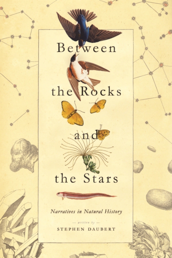 Between the Rocks and the Stars (e-bog) af Daubert, Stephen