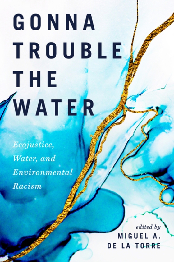Gonna Trouble the Water (e-bog) af Torre, Miguel A. De La