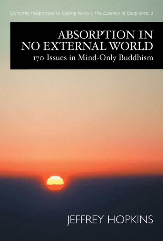 Absorption in No External World (e-bog) af Hopkins, Jeffrey