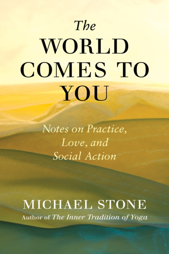 World Comes to You (e-bog) af Stone, Michael