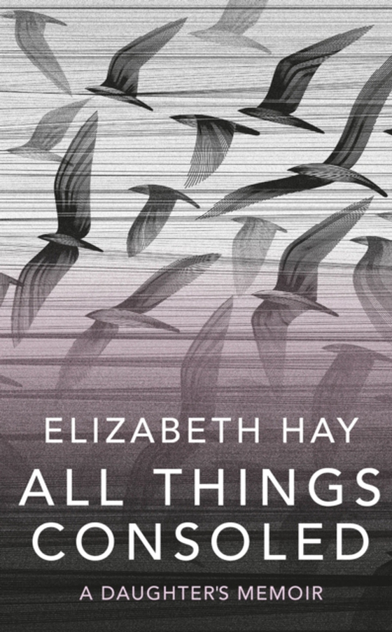 All Things Consoled (e-bog) af Hay, Elizabeth