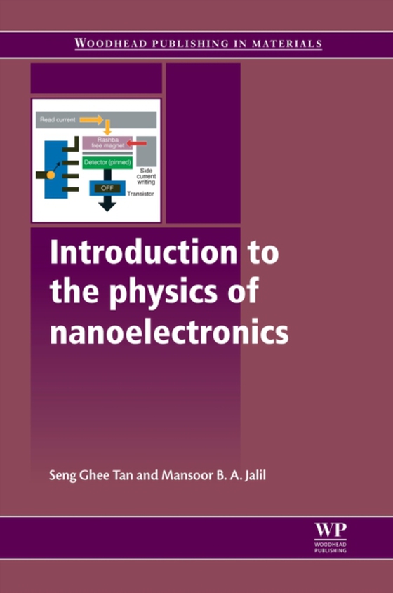 Introduction to the Physics of Nanoelectronics (e-bog) af -