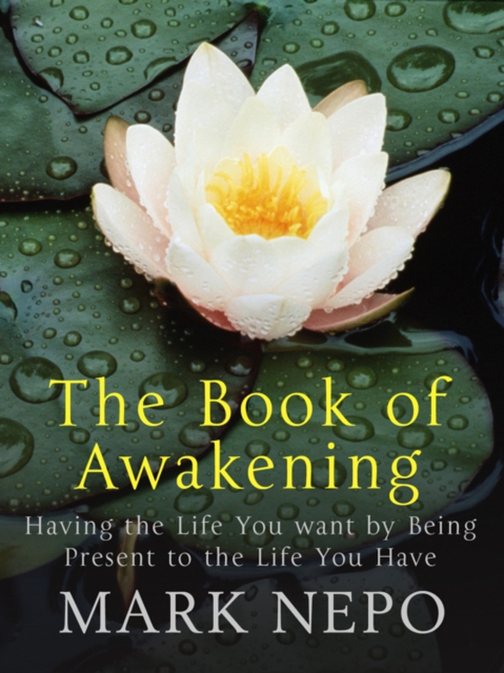 Book of Awakening