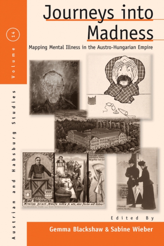 Journeys Into Madness (e-bog) af -