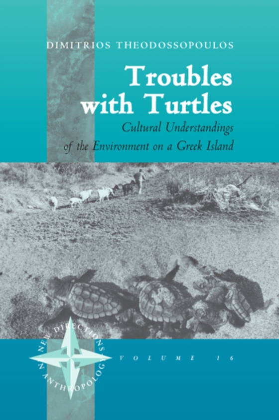 Troubles with Turtles (e-bog) af Theodossopoulos, Dimitris