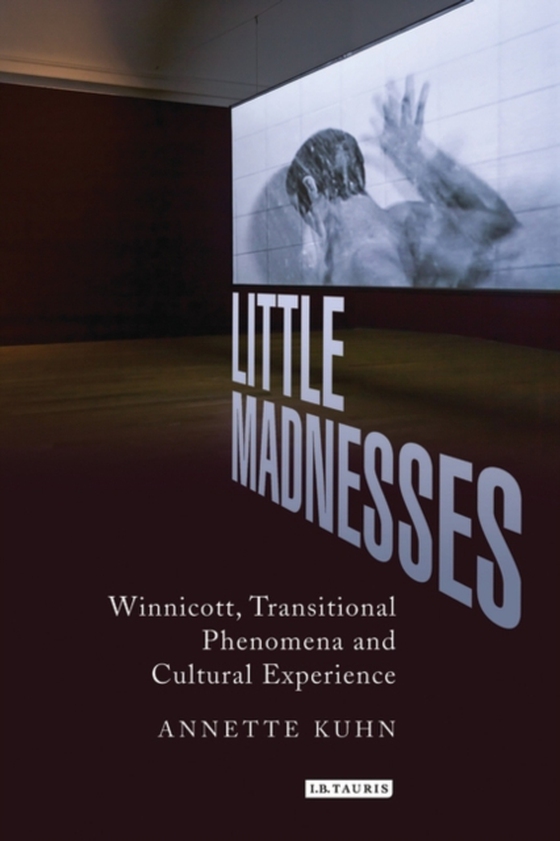 Little Madnesses (e-bog) af -