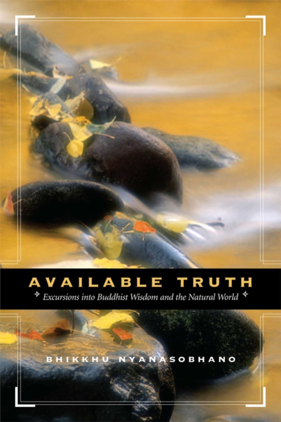 Available Truth (e-bog) af Nyanasobhano