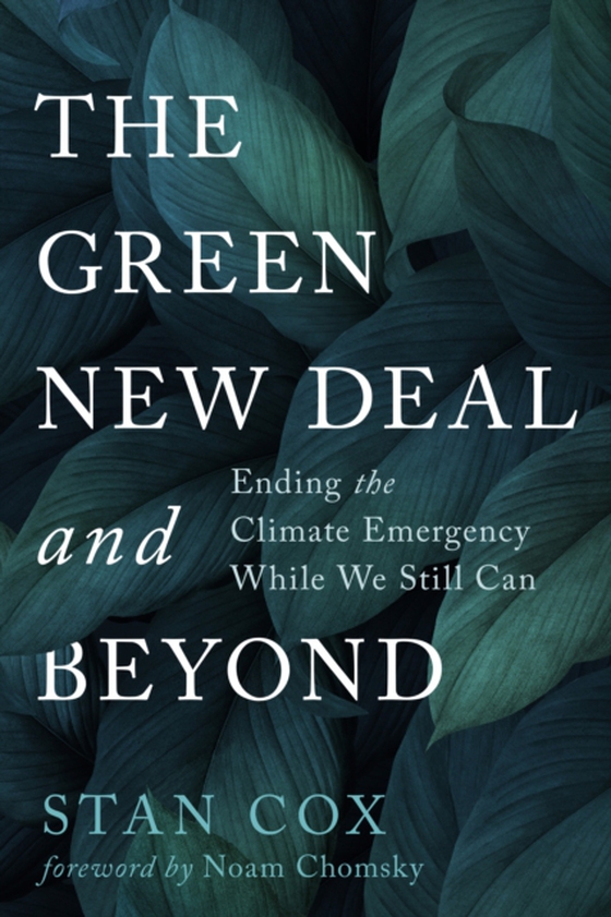 Green New Deal and Beyond