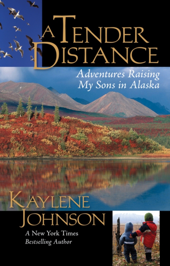 Tender Distance (e-bog) af Johnson, Kaylene