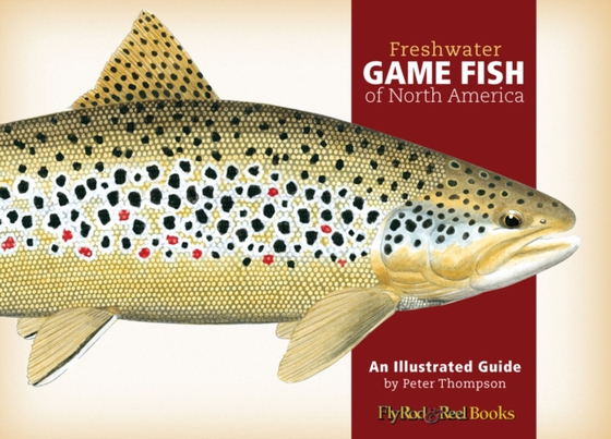 Freshwater Game Fish of North America (e-bog) af Thompson, Peter G.