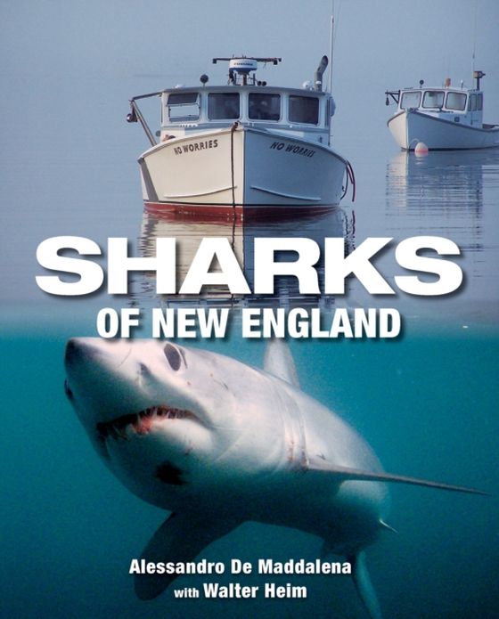 Sharks of New England (e-bog) af Maddalena, Alessandrao De
