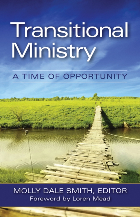 Transitional Ministry (e-bog) af -