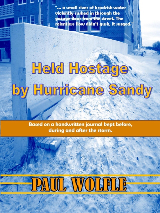 Held Hostage By Hurricane Sandy (e-bog) af Wolfle, Paul